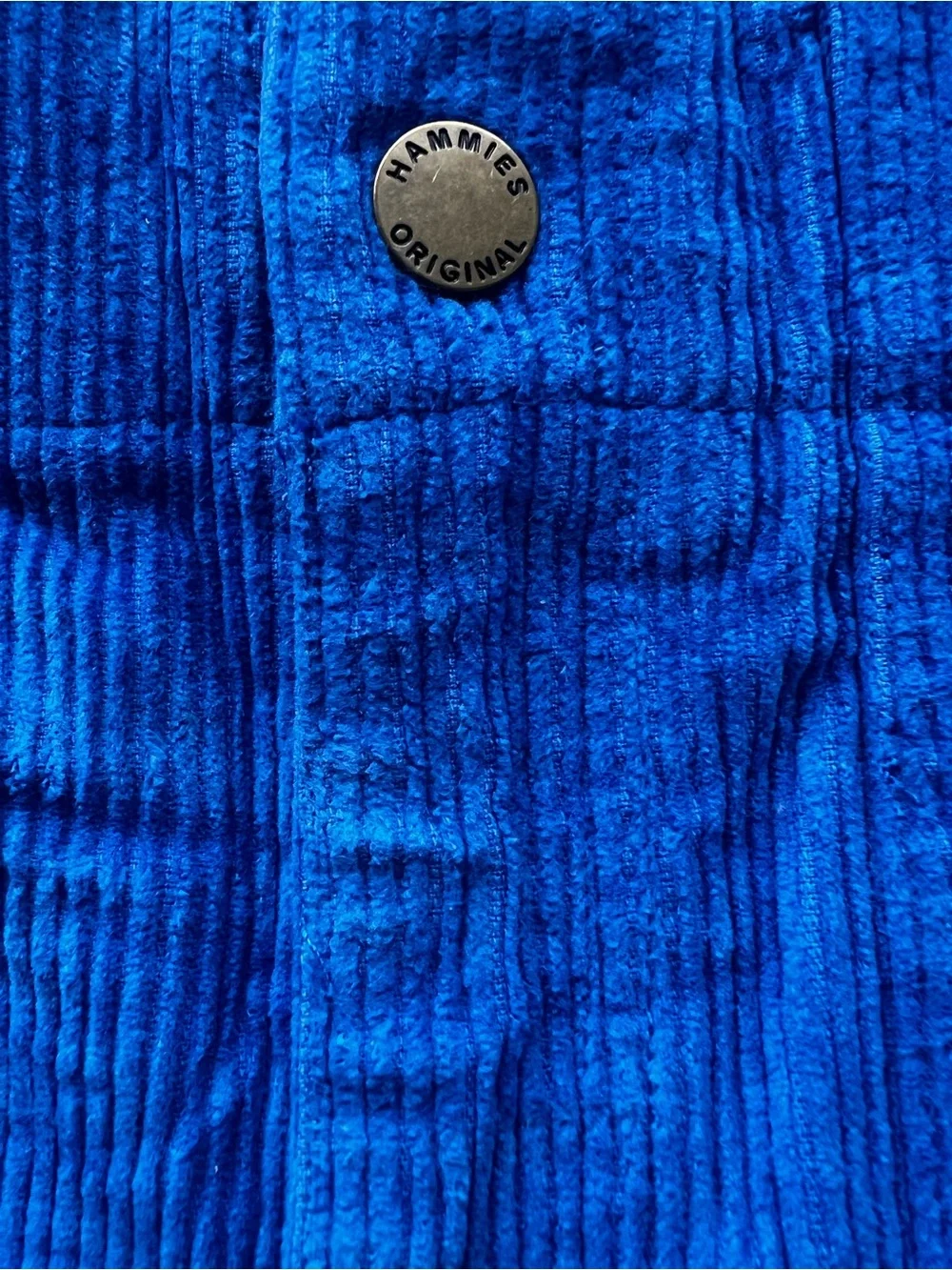 Hammies Royal Blue Corduroy Shorts